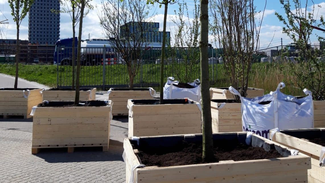 Mobiel bos voor de Sluisbuurt